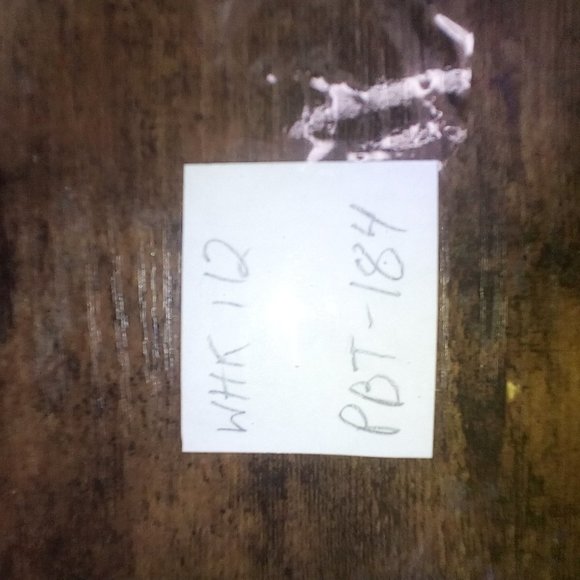 Christmas Skull Print High Waist Running Training Fitness Yoga Tight Pants, Hall - Picture 5 of 5